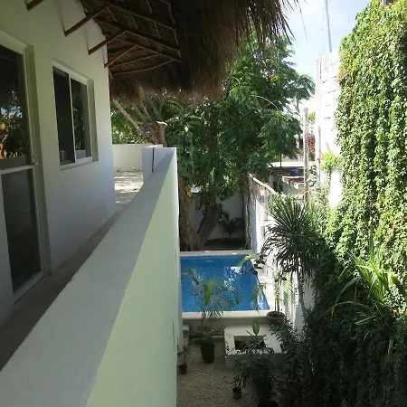 Azula Maya Studios